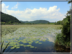 foto Lago di Fimon